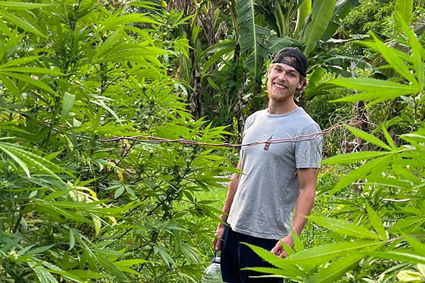 Jamaican Ganja Farm - Jamaica Sea Shell Tours - www.JamaicaSeaShellTours.com