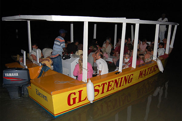 Glistening Waters - Jamaica Sea Shell Tours - www.JamaicaSeaShellTours.com